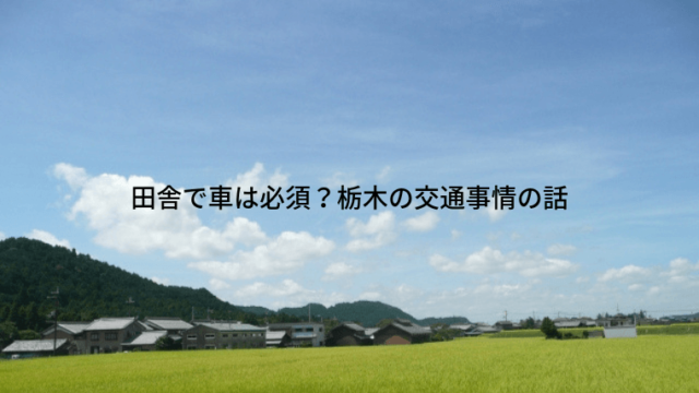 田舎で車は必須 栃木の交通事情の話 さいとうさんは 住宅不動産ライター