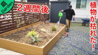 庭づくり 家づくり Diyブログ